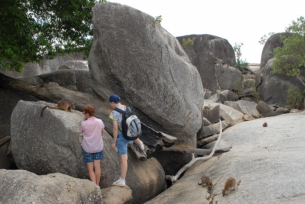 0276 Granite Gorge.jpg